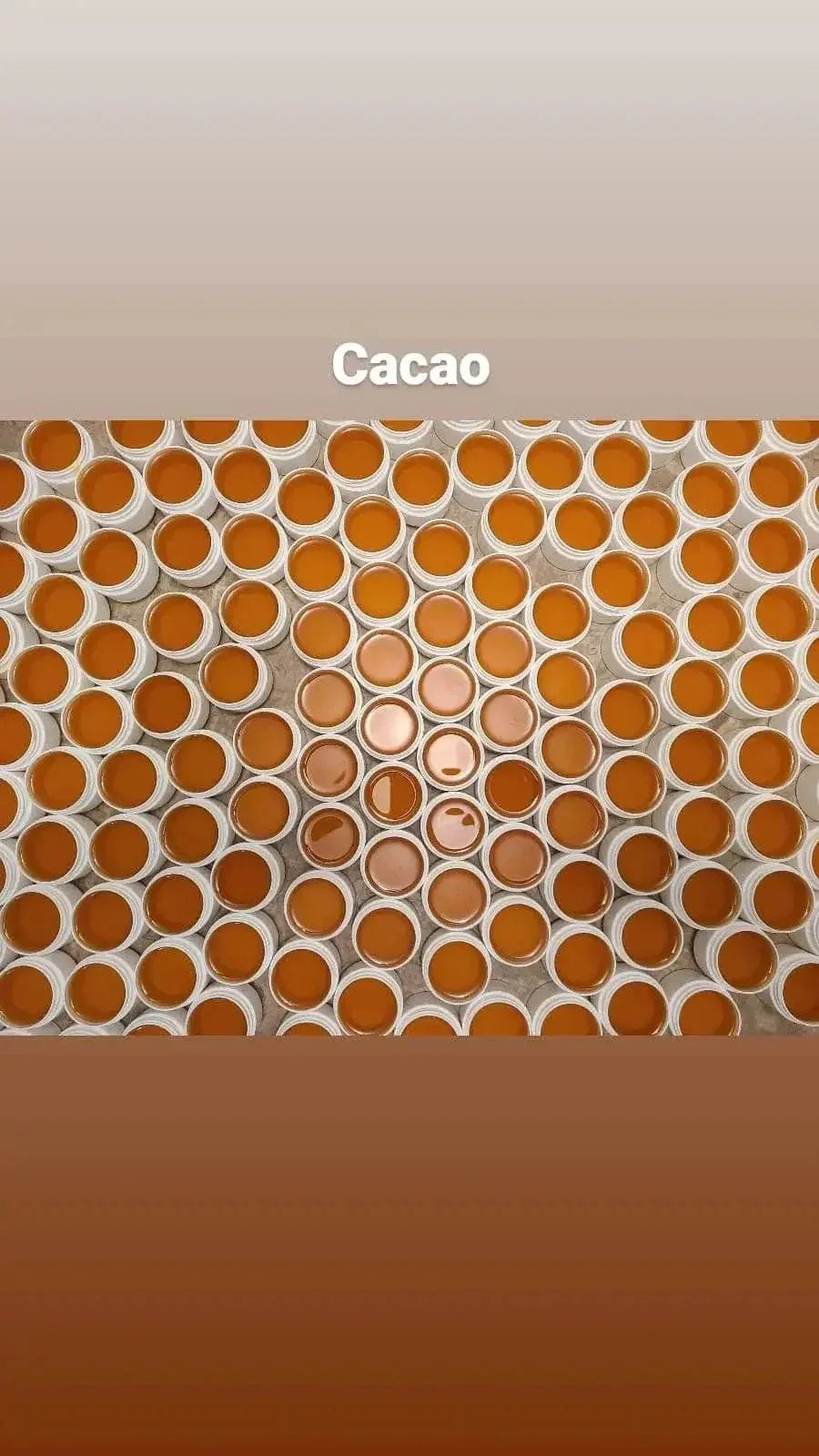 Multiple containers of Haitian Gres Cacao growth ointment arranged in a grid pattern