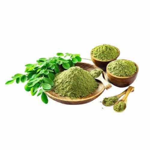 Organic moringa leaf powder in wooden bowls and spoons with fresh moringa leaves on white background